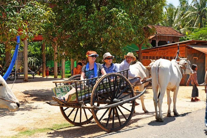 Shore excursions and activities